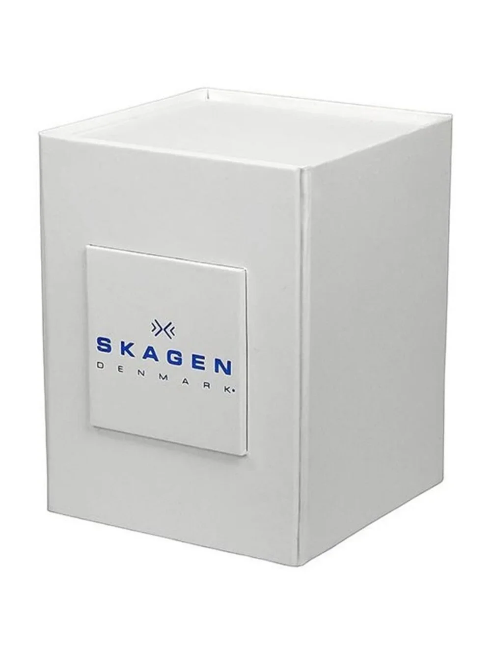 NWT Skagen Anite Silver Dial Gold-tone Mesh Ladies Watch